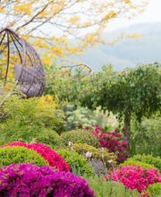 Bernet Gartenbau AG Bild 7