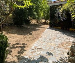 Desbroces_Jardineria_del_Oeste_Merida_Badajoz.jpeg