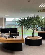 GAN ASSURANCES DOLE image 2