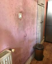 Felten Bernard image 4