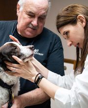 Three Trails Animal Hospital image 20