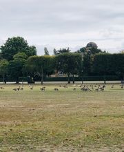Agence immobilière Laforêt Le Vesinet image 10