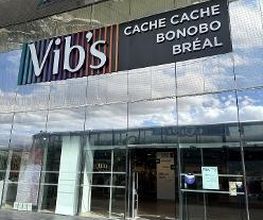 Vib's (Cache Cache - Bonobo - Bréal - Jennyfer) image 1