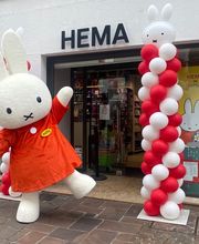 Sud organisation évènement image 10