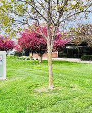 McAllister Orthodontics - Fremont image 9