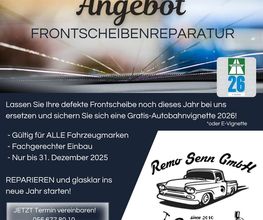 Remo Senn GmbH – Carrosserie und Lackierwerkstatt der Spezialist für Hagelschäden im Aargau Bild 2