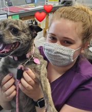 Stevenson Village Veterinary Hospital image 7