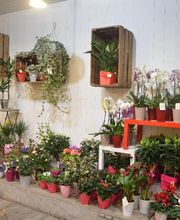 SARL Floréal image 4
