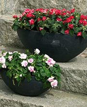 Gartenfachmarkt Richter Bild 10