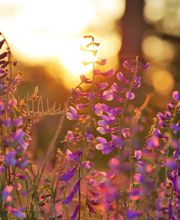 William H. Kresge Funeral Home, Inc. image 18