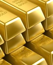SC GOLD image 10