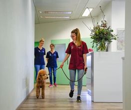 Tierklinik Rossweid AG Bild 7