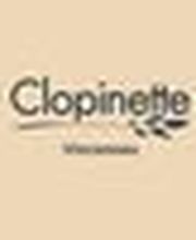 Clopinette Cigarette Électronique image 1