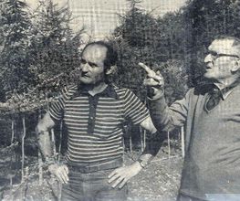 Pepinieres Bauduc image 13