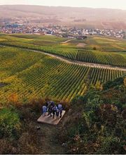 Champagne Jean Diot image 1