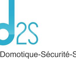 D2s image 1