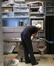 Animal Hospital of Dunedin image 4