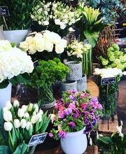 Savina Fleurs image 3