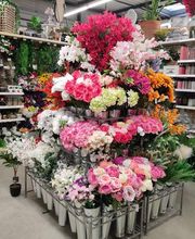 Centrakor Aimargues image 2