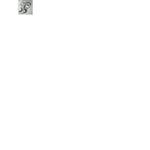 232260216-1-jJUYdkneGC1692877992155.jpeg