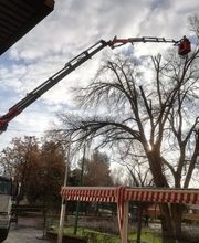 Grúas Muncal imagen 2