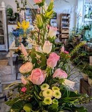 Budberger Blümchen Bild 13