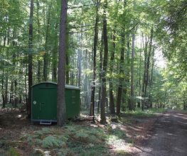 FriedWald Meroder Wald Bild 1
