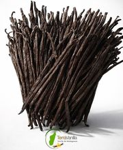 Madagascar Vanilla & Spice Trading image 3