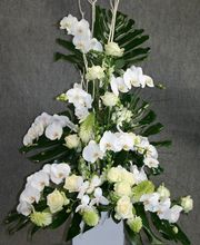 Fanny Fleurs image 11