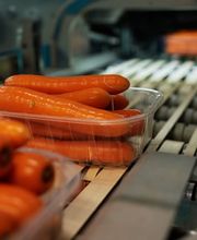 Verpackung und Verarbeitung bei Gemüsering: Frische Möhren küchenfertig abgepackt