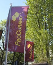 ProCurand Seniorendomizil Wilhelm-Stift Bild 4