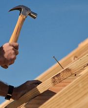 Reinoite Adriano image 3