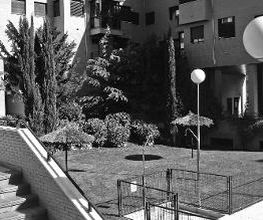 Jardinería FG imagen 15