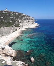 Agence immobilière Laforêt Porto-Vecchio image 11