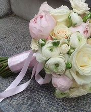 La Vie En Roses image 6