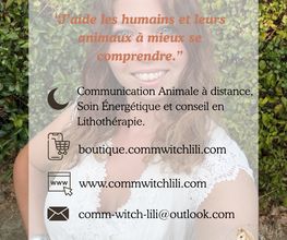 Comm'WitchLili image 2