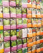 Natera - Ledergues image 1