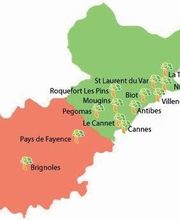 VERT COOP SERVICES image 4