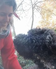 Etologo.es imagen 19