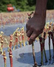 SAS Jallet Didier image 1