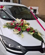 Sim' Fleur Maison Plasse image 6