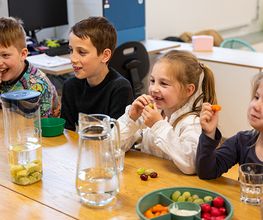 Humankind - BSO Wereldwijs afbeelding 5