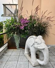 Magic Garden Sagl Bild 6