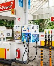 Shell Bild 1