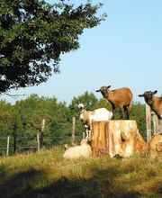 Estorges Isabelle image 3