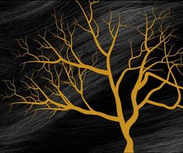 L'arbre d'Or Beauté image 6