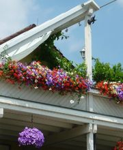 Gärtnerei Mohring Bild 3