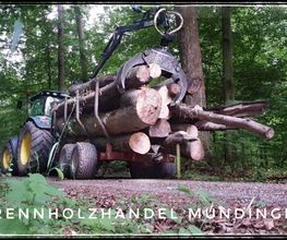 Brennholzhandel Mundinger Bild 3
