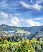 Résidence les Marronniers - Fondation Marcel Bourquin Bild 6
