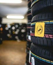 Reifen Brandt Bild 8